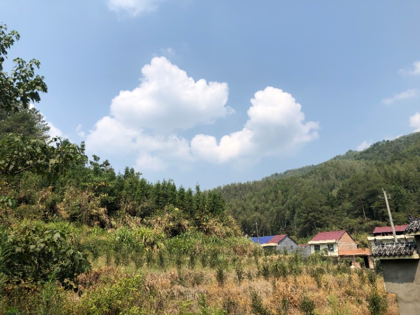 酒醉不光出现手抖