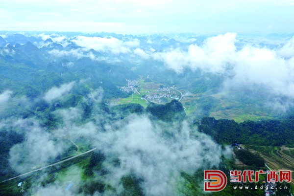 陆祥红简历,陆祥红简介