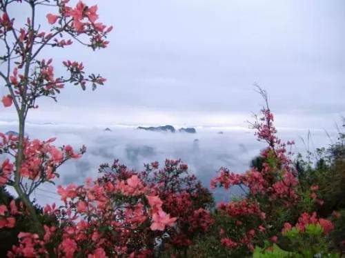 西安的夏天是什么颜色的,西安的春天有多美