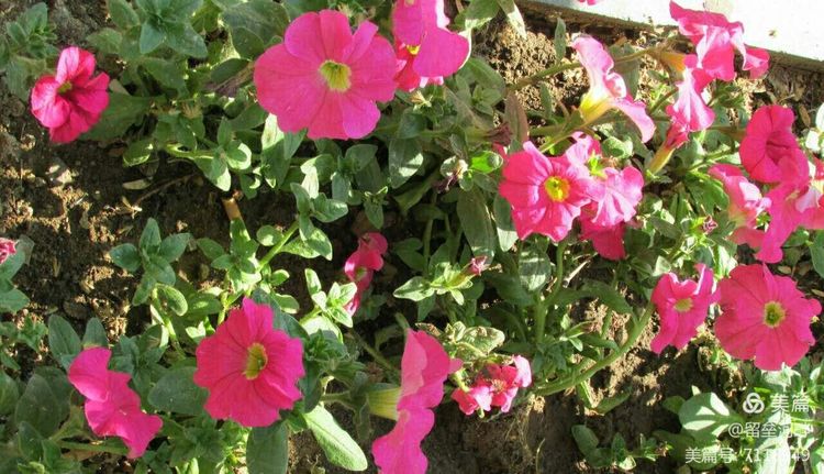 秦皇岛山海关游记,秦皇岛东山游记