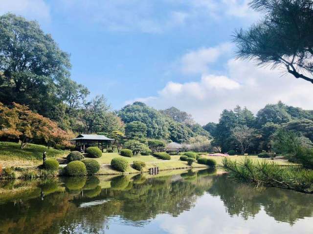 东京到镰仓和箱根攻略,东京箱根富士山镰仓