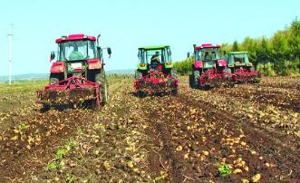 马铃薯高产栽培及病虫害防治技术,马铃薯高产栽培新技术探讨总结