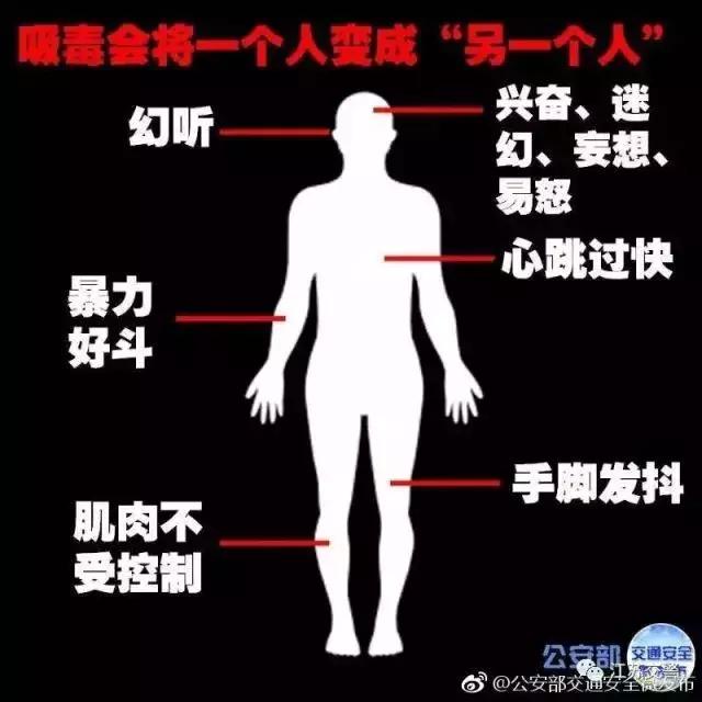 毒驾有多可怕,禁毒宣传月拒绝毒驾