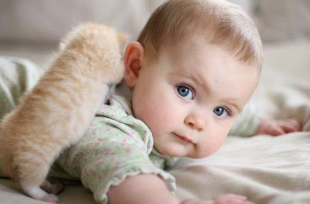 满月婴儿大脑发育的症状,满月宝宝如何促进大脑发育