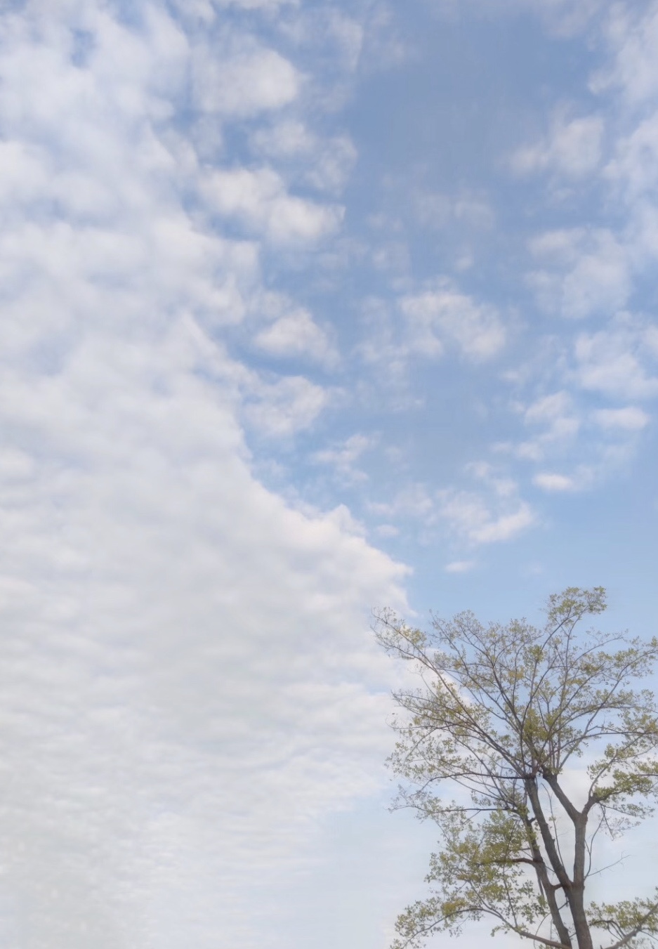 妈妈打电话给儿子借钱,妈妈打电话给儿子借500