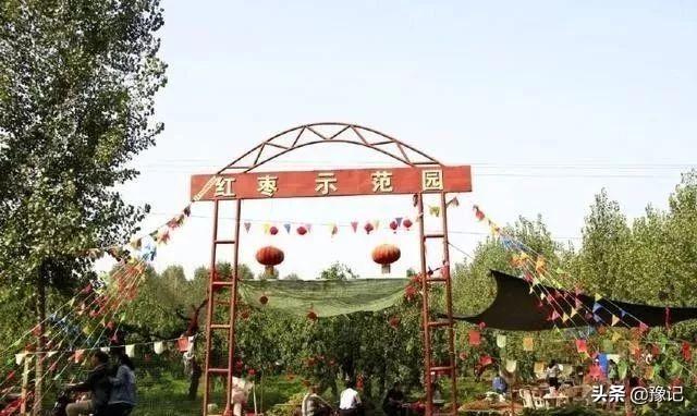 除了冬枣还有什么枣又大又圆,除了红枣枸杞茶还有什么茶