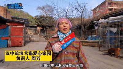 第一帮帮团记者电话,第一帮帮团记者热线电话