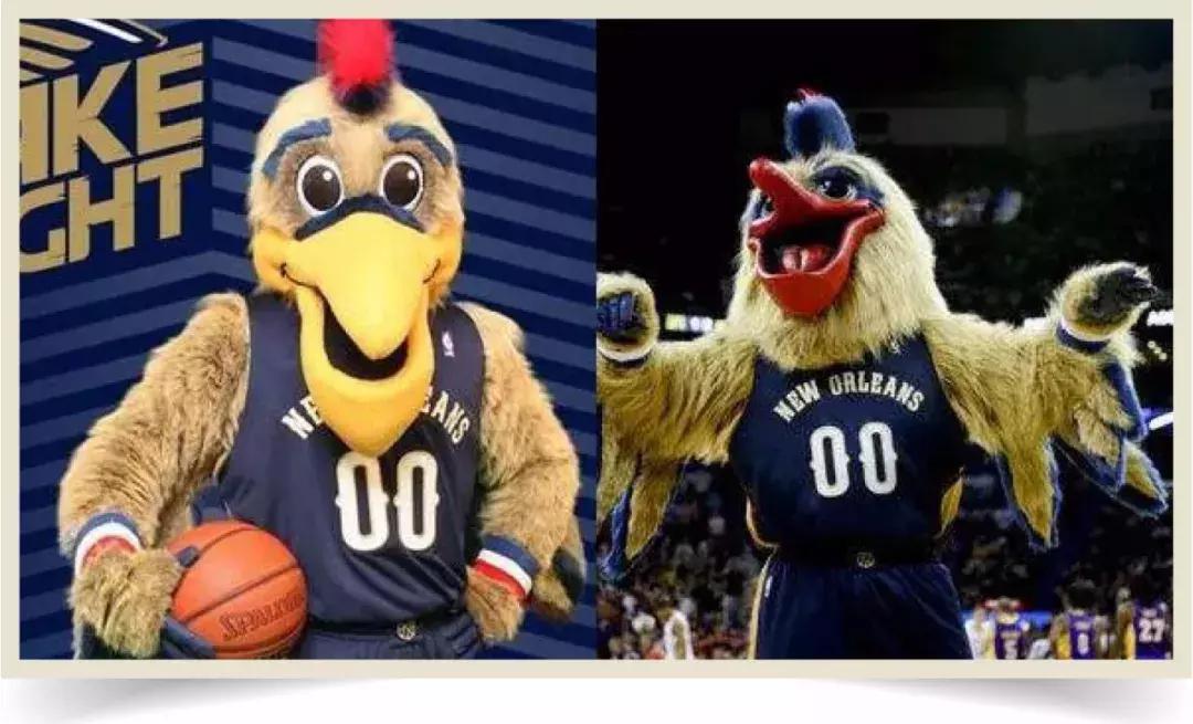 鸟界广东人，没什么是它不敢吃的……