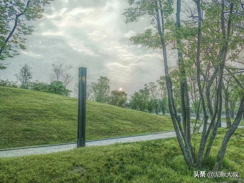 金义都市新区招聘,金义都市新区未来5年规划