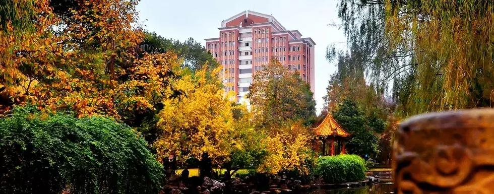 高考志愿@上海师范大学人文荟萃，给你更好的选择