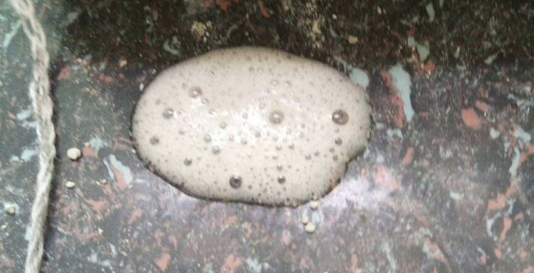 猫咪呕吐白色泡沫怎么回事,猫咪呕吐白色泡沫是什么原因