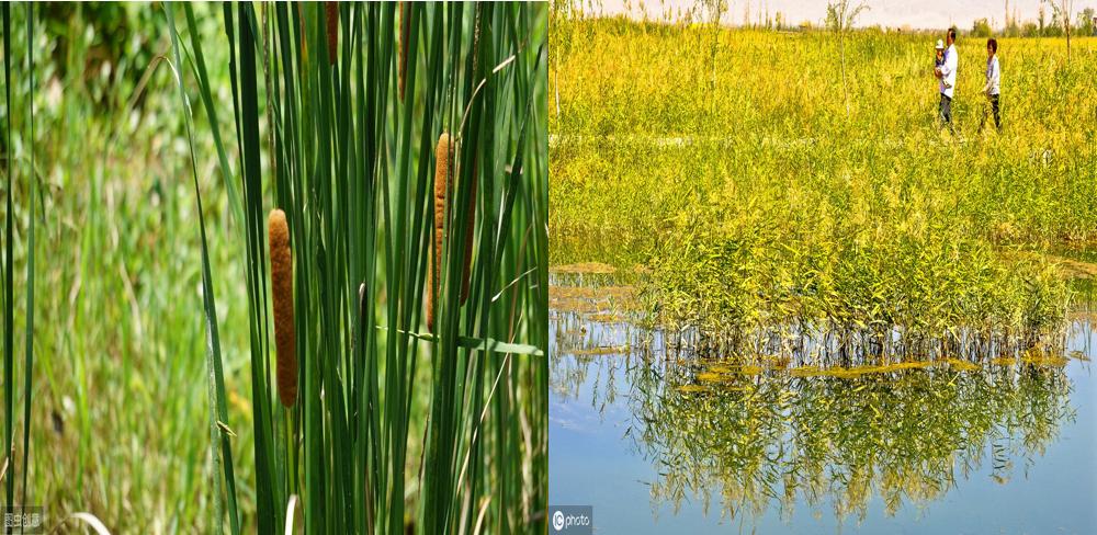 一路吐槽赤壁更名掉坑，景区无奇，看到最后直呼不虚此行