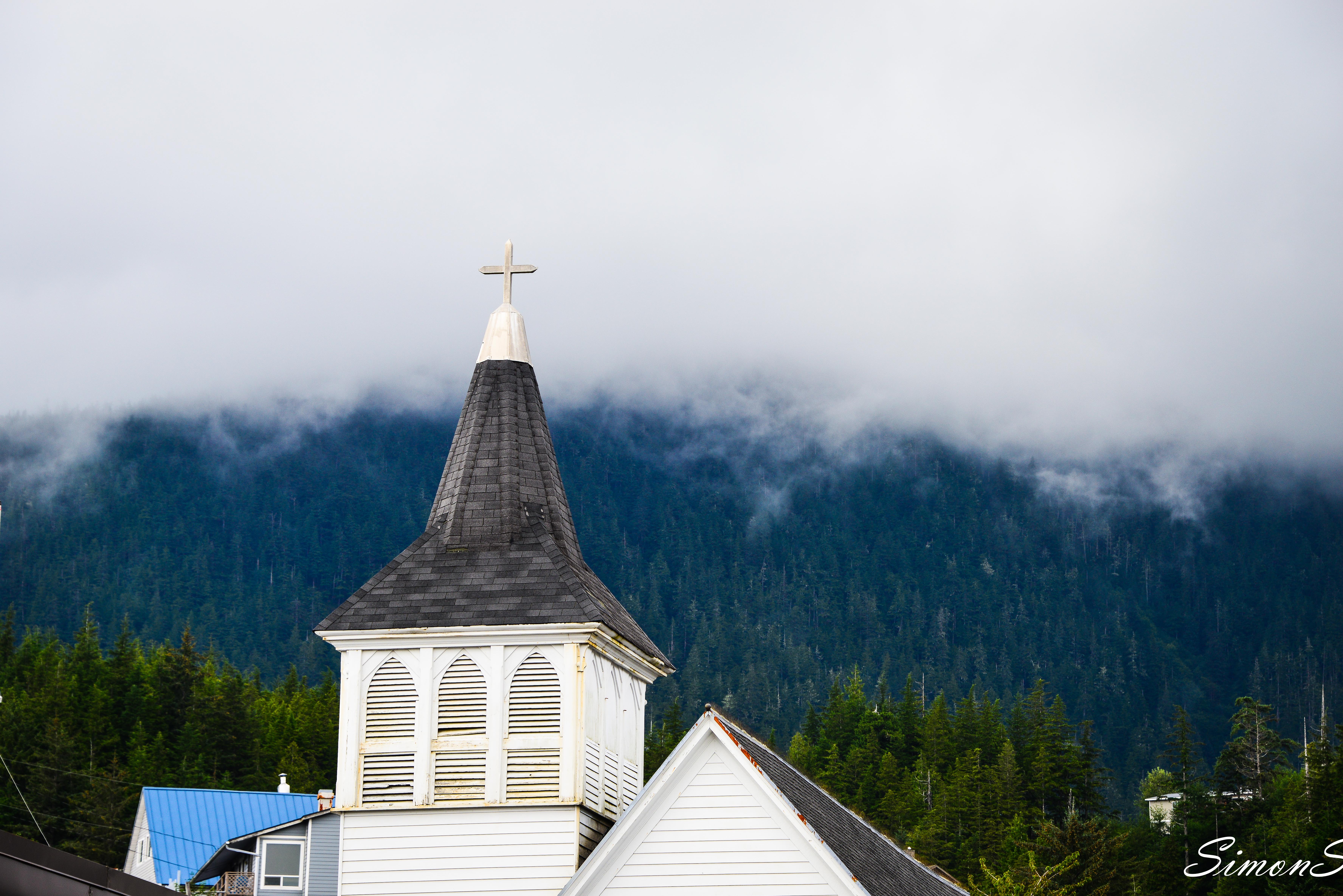 阿拉斯加：男人和三文鱼都赶来配种的“*灯区红**“