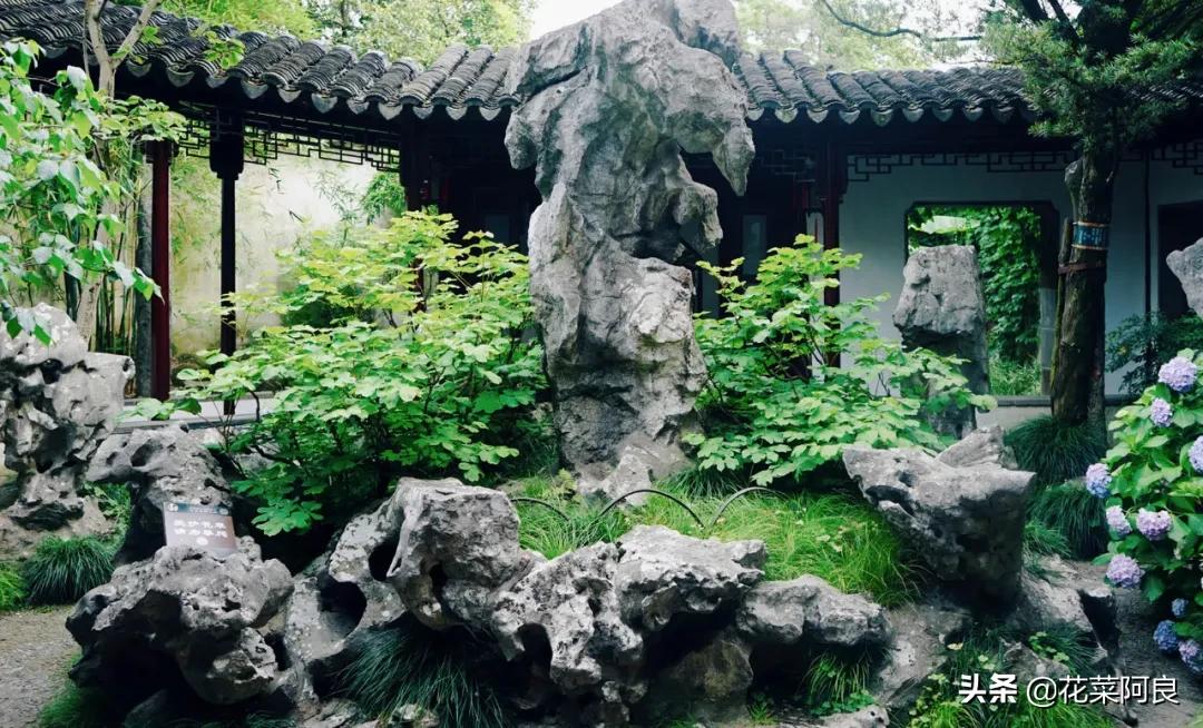 留园拙政园哪个景色好,留园和拙政园