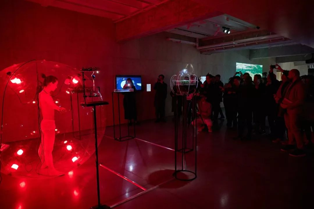 抄底后退市怎么处理,抄底破产案例