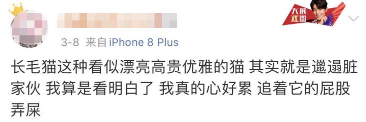 小猫咪为啥乱拉屎,有些小猫咪表面挺正常