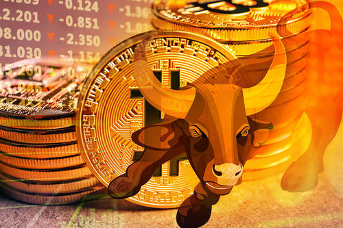 模塑科技管理,模塑科技是龙头吗