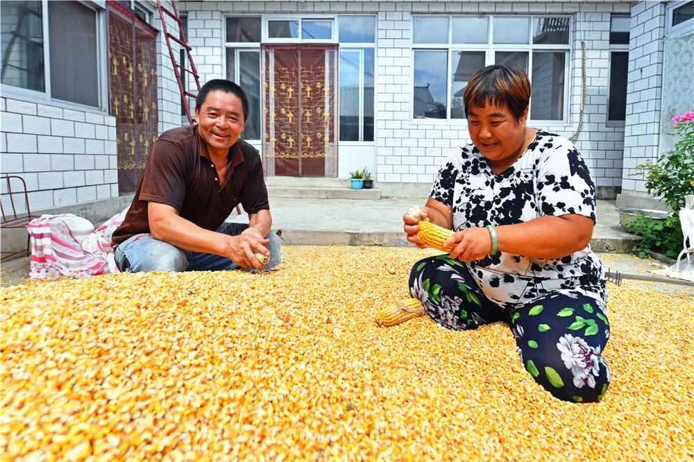 最低价只要1块钱的慢火车,最低火车票价多少钱