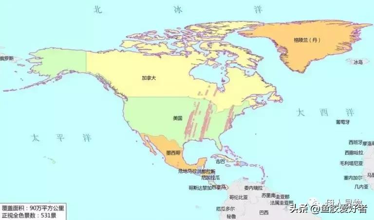 苏里南北海鱼胶和委内瑞拉鱼胶,北海公鱼胶好还是北海母鱼胶好