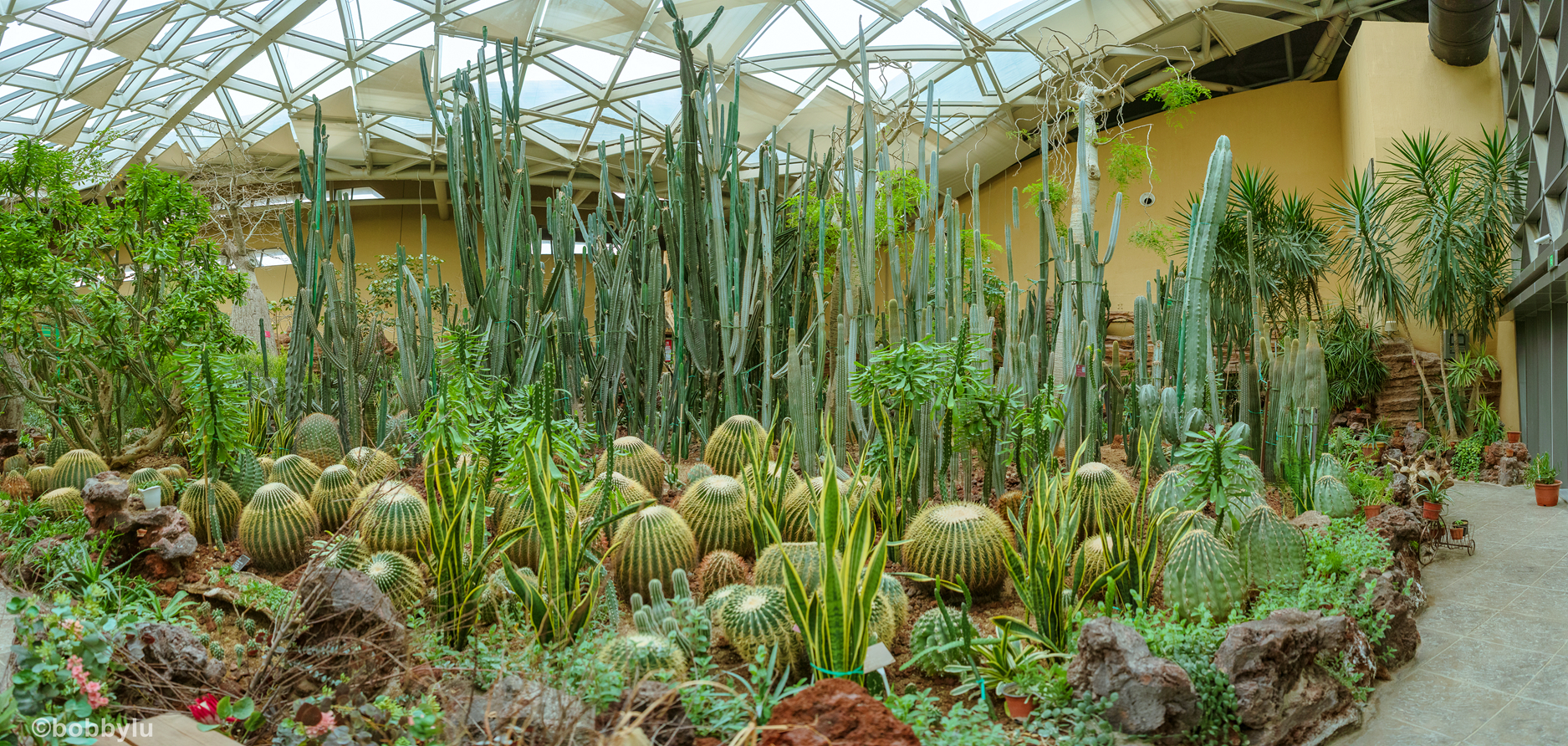 看城市变化蝶变融城,工业城市转型旅游城市