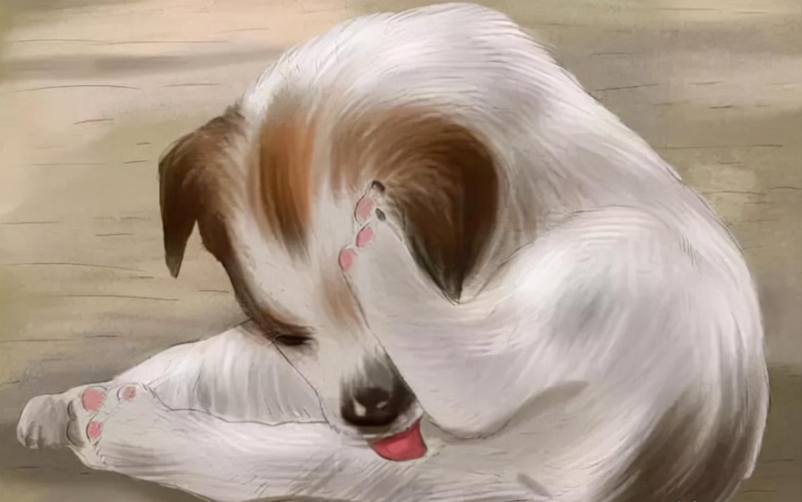 你知道该如何照顾发情的狗狗吗？快来学，让你“懂”你家狗