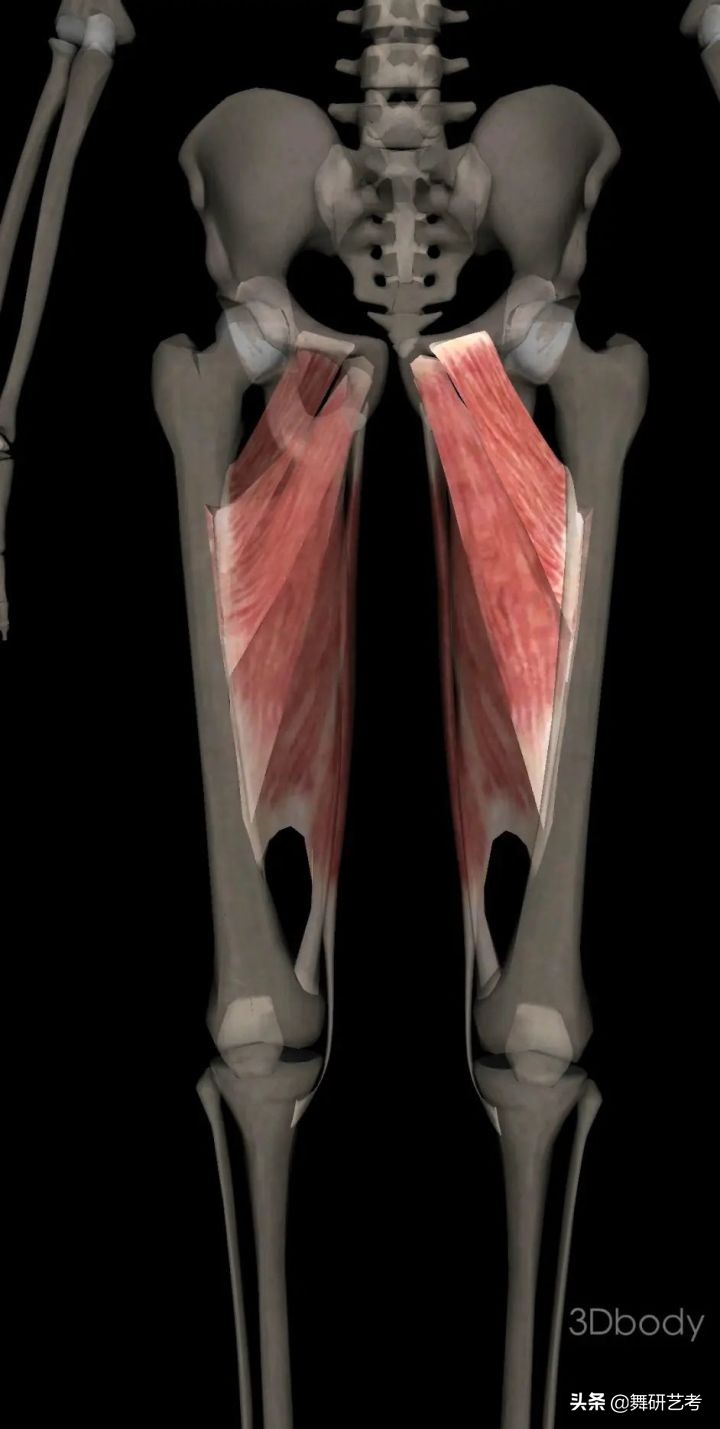 什么是开胯？我来告诉你