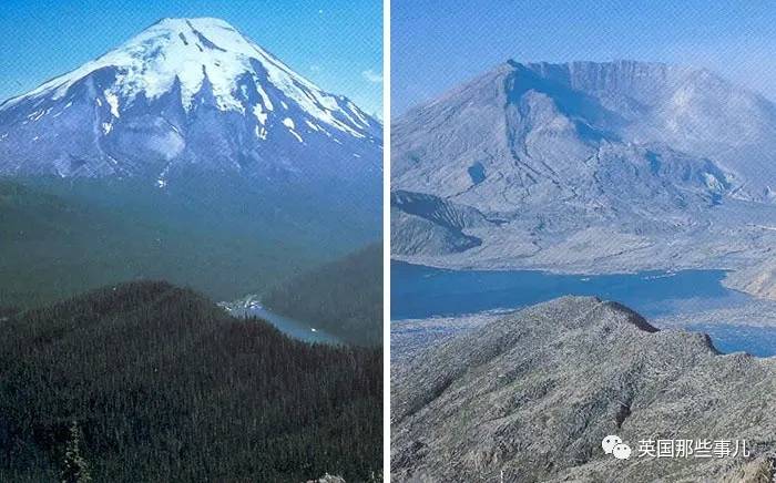 蓝鲸实拍有多大,蓝鲸到底有多大参照物