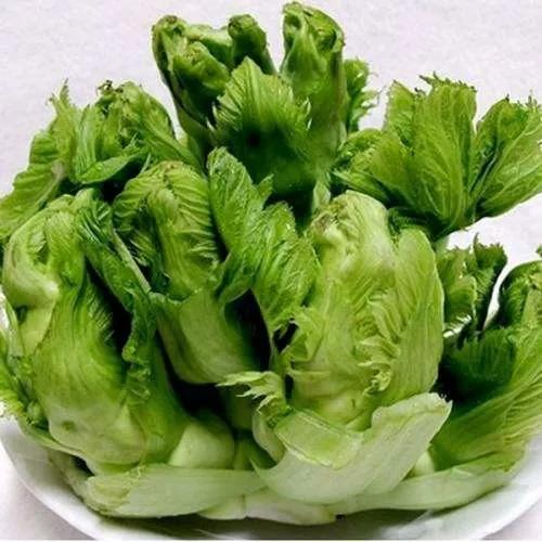 讲起抗疫故事,听战疫故事