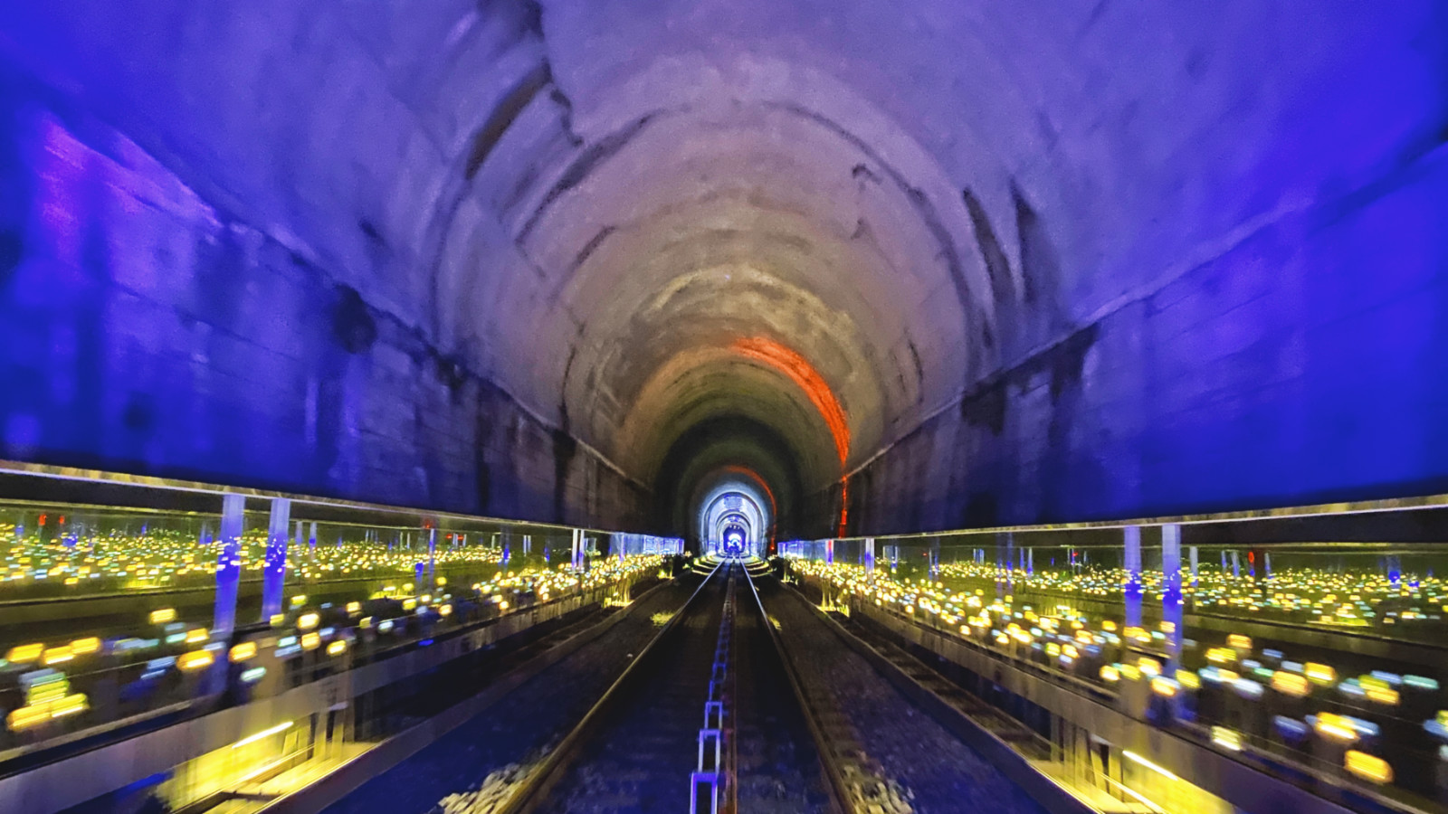 哇,人参随便挖!韩国还能这么玩