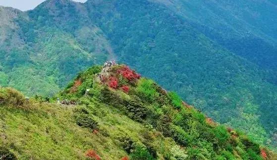 中国天堂般的6大徒步旅游胜地,广州最值得去徒步的山峰