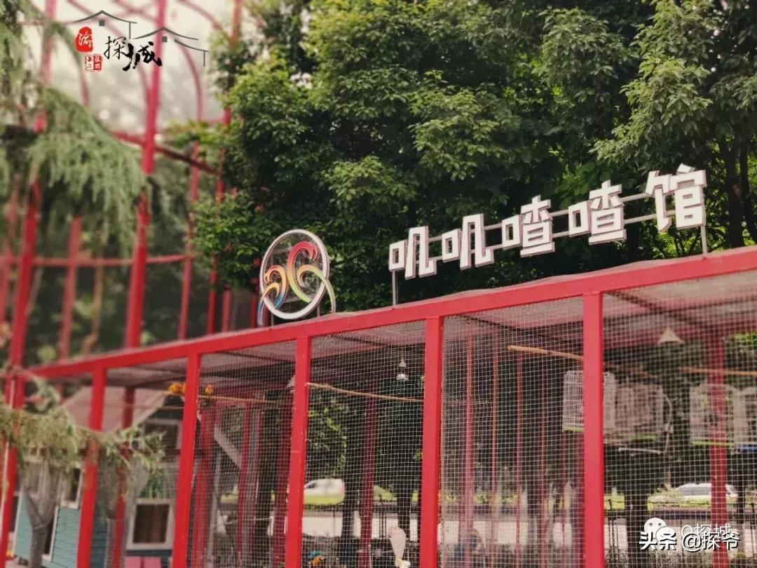 适合遛娃的地方重庆绿色星球,重庆150米神秘花园