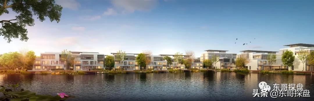 这四件事不要管,这四件事永远不要管