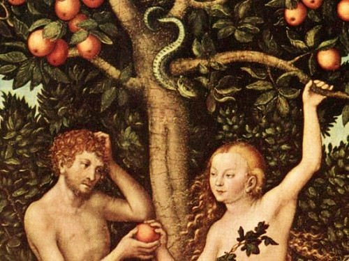 爱玩跨界的水果大王——苹果（介绍水果的小课件）