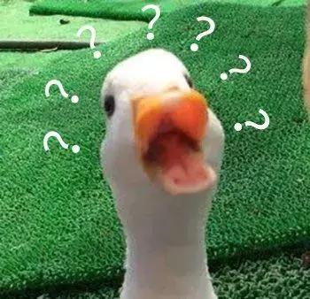 现在的年轻人结婚都不愿办婚礼,年轻人不敢结婚是什么原因