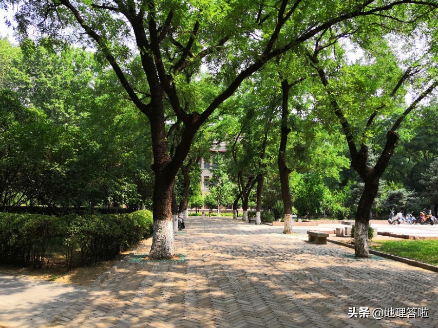 最美大学烟台大学,我心中最美的大学生作文