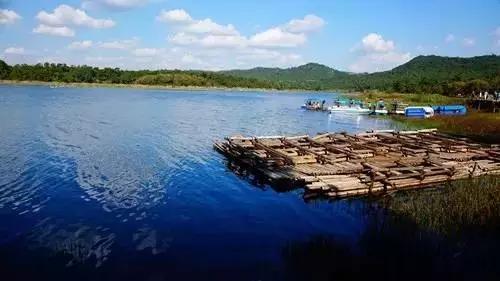 昆明周边适合露营的森林,昆明附近露营风景好