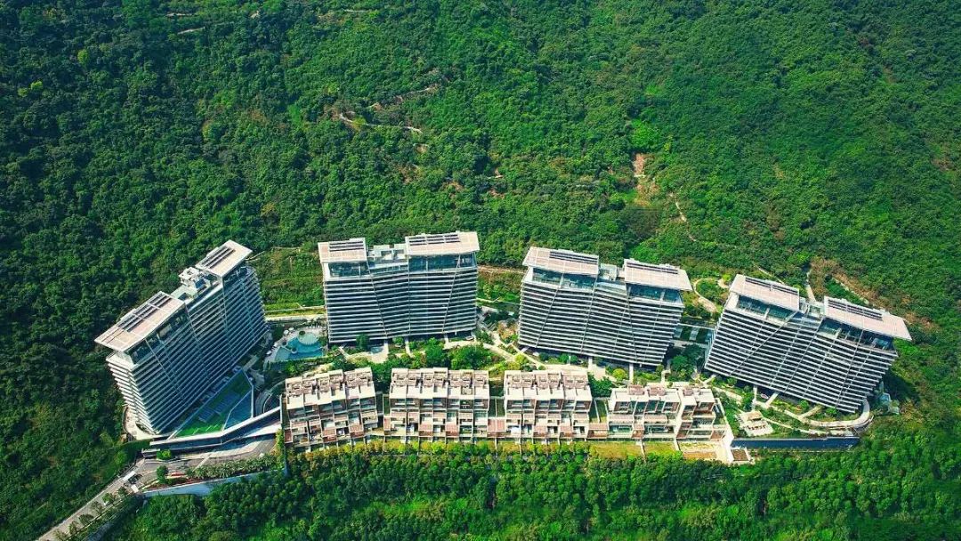 深圳跻身全球十大城市,深圳全球最富城市