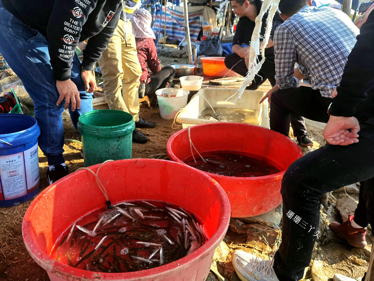 广东清远海边旅游景点排名前十,清远河鲜游玩有何好去处