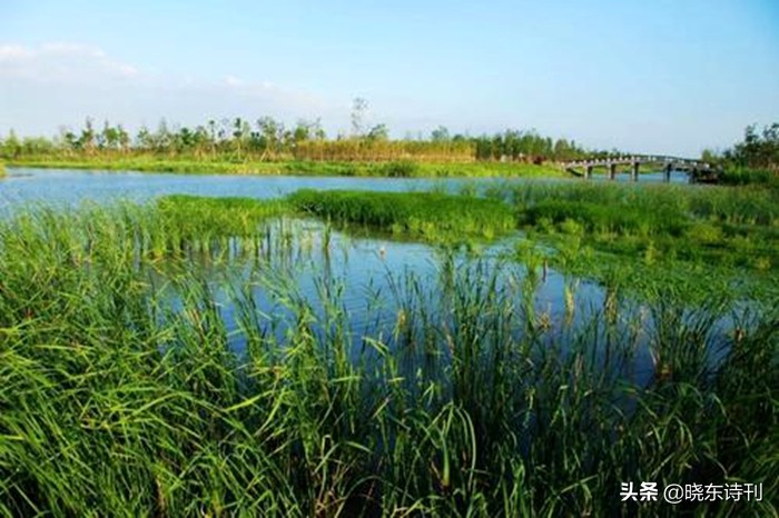 「黎明拾穗」43期诗词41首,首页篇篇造网红,风流戏子逞英雄