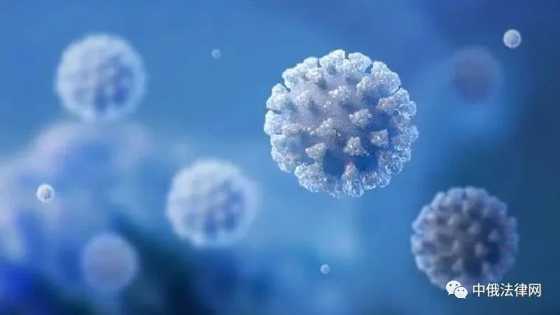 中国制药公司雪中送炭:中国产羟氯喹将用于俄罗斯COVID-19治疗