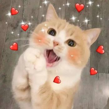 bling少女平价眼妆合集