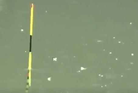 为什么钓鲤鱼跑铅一直没有口,钓鲤鱼老是跑鱼是不是抬竿过早