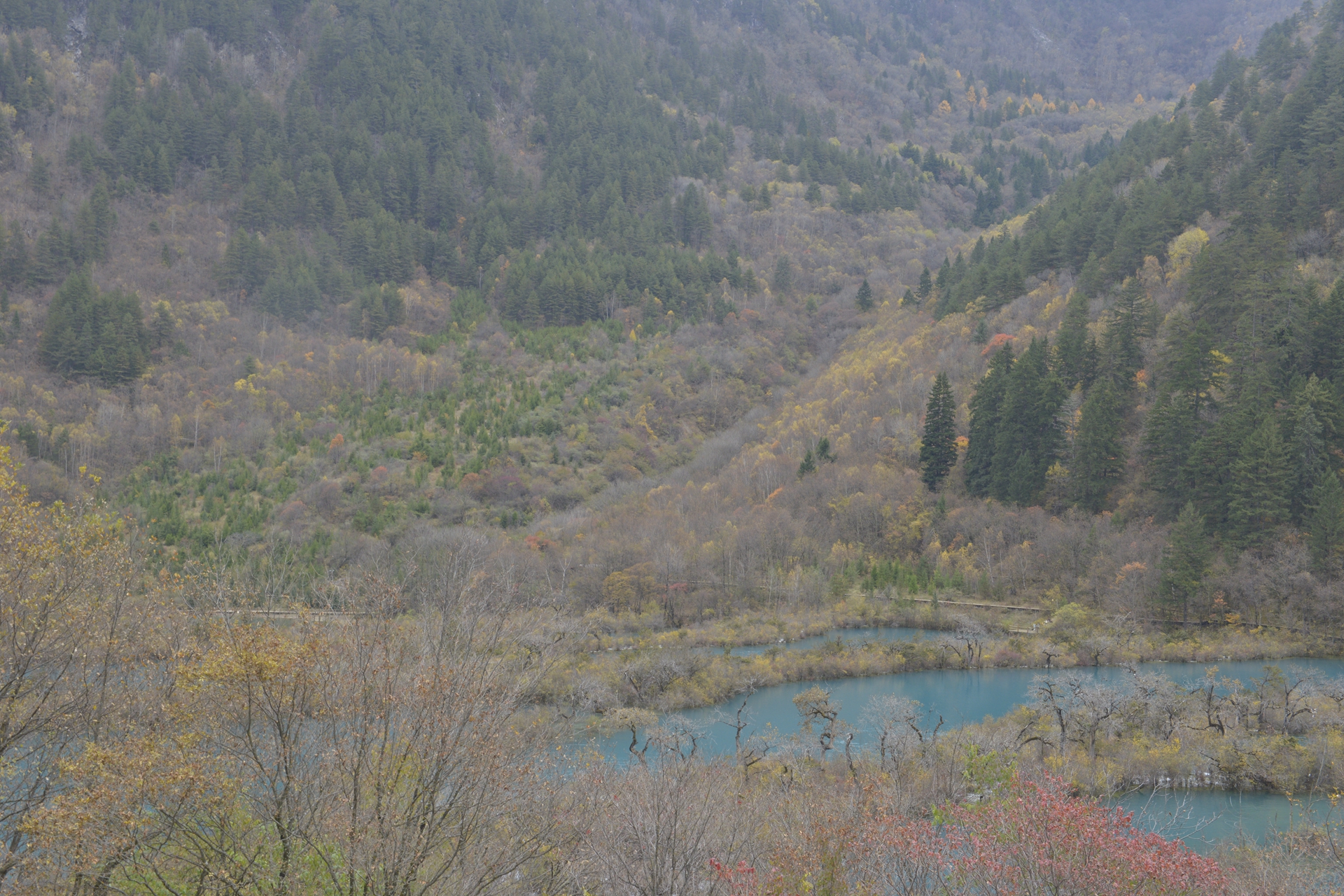 九寨沟梦幻天堂,自驾畅游九寨沟童话世界