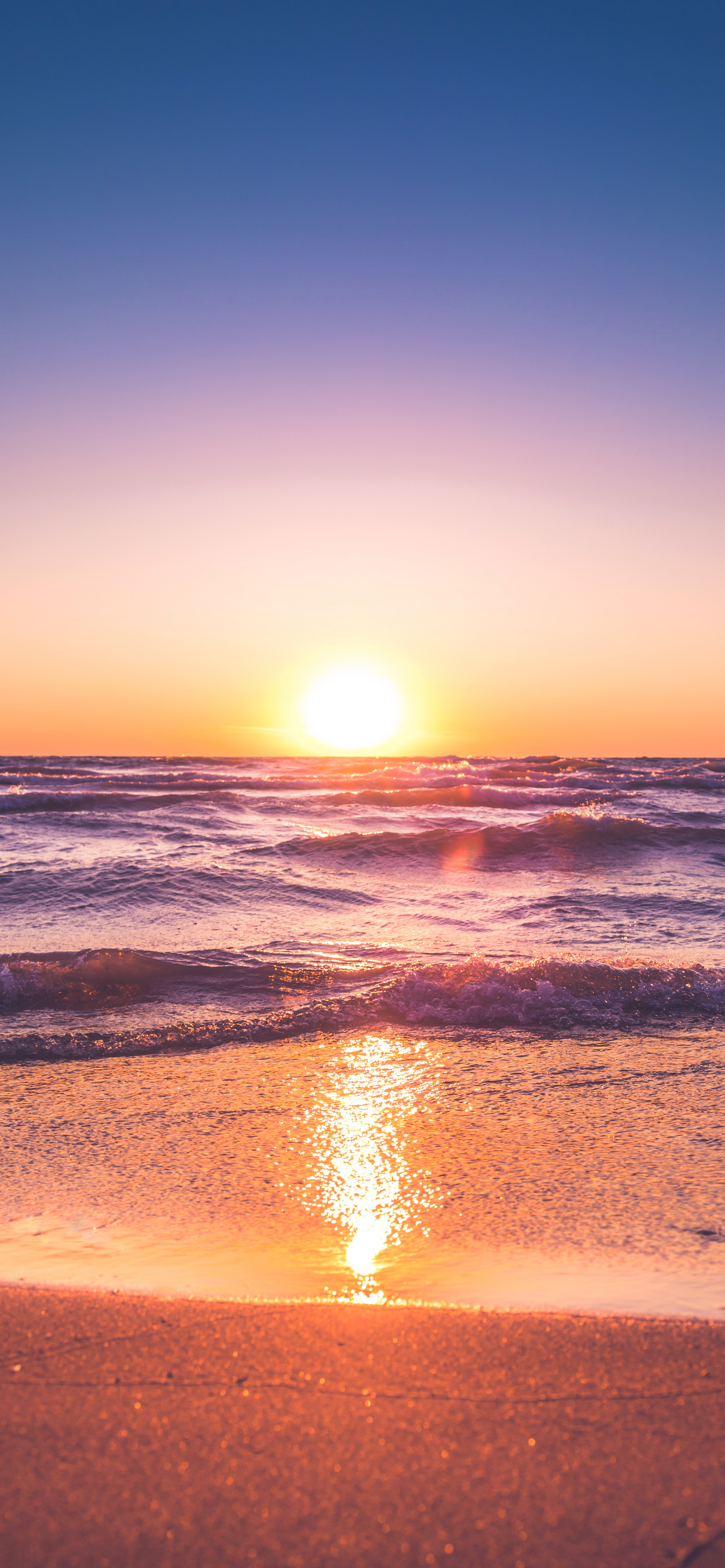 好看的壁纸少女心小熊,粉色小花白色小熊壁纸