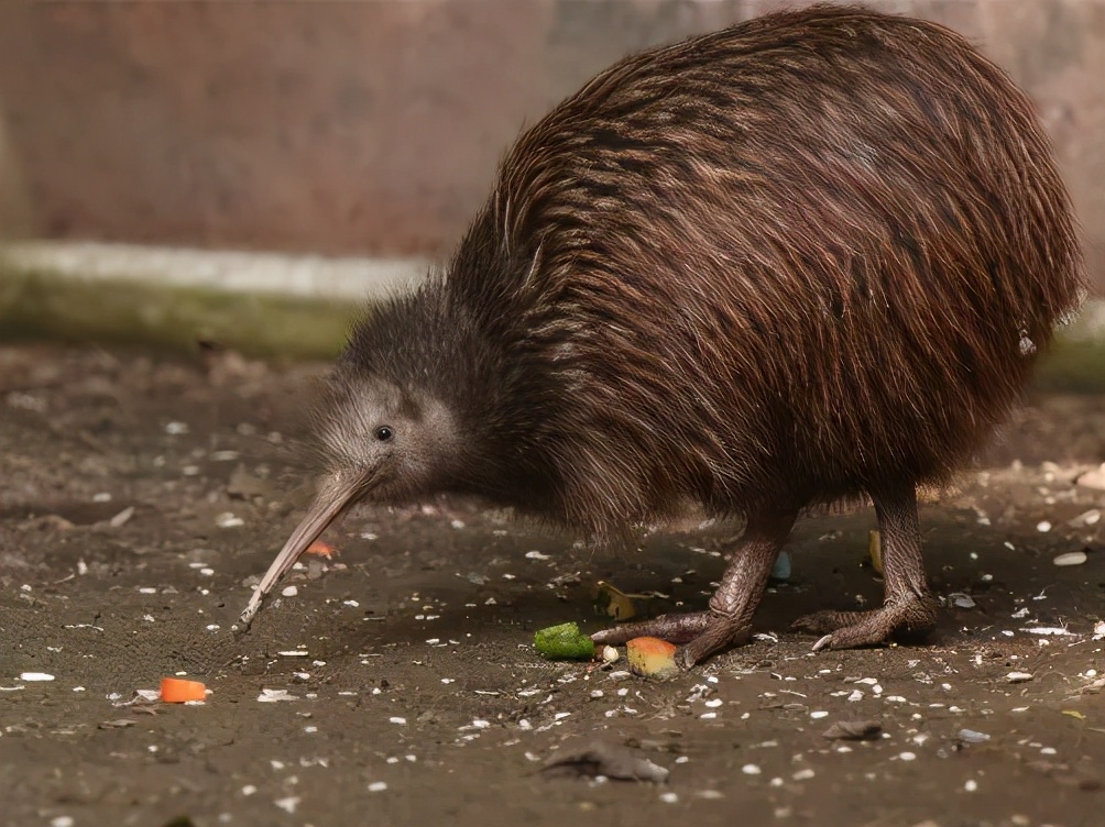 明明是大樱桃为什么要叫车厘子,大樱桃为啥叫车厘子