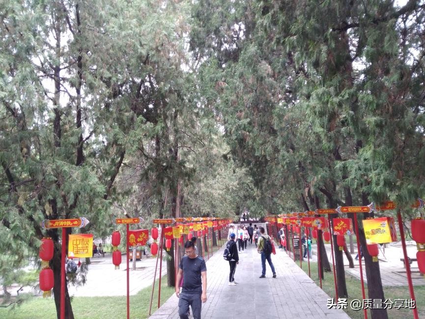 五岳独尊泰山一日游,泰山五岳独尊游记