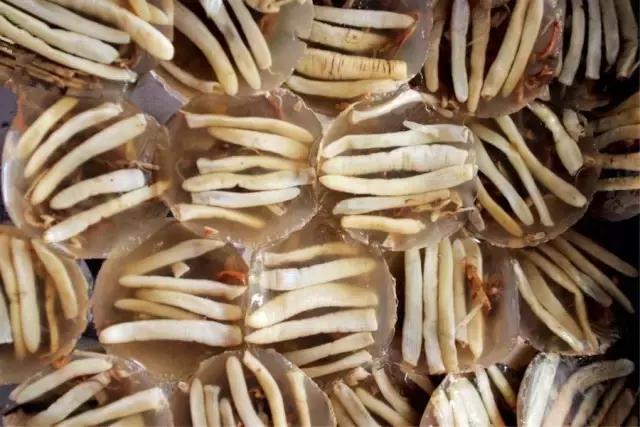 恐怖10道奇葩美食,奇葩恐怖食物