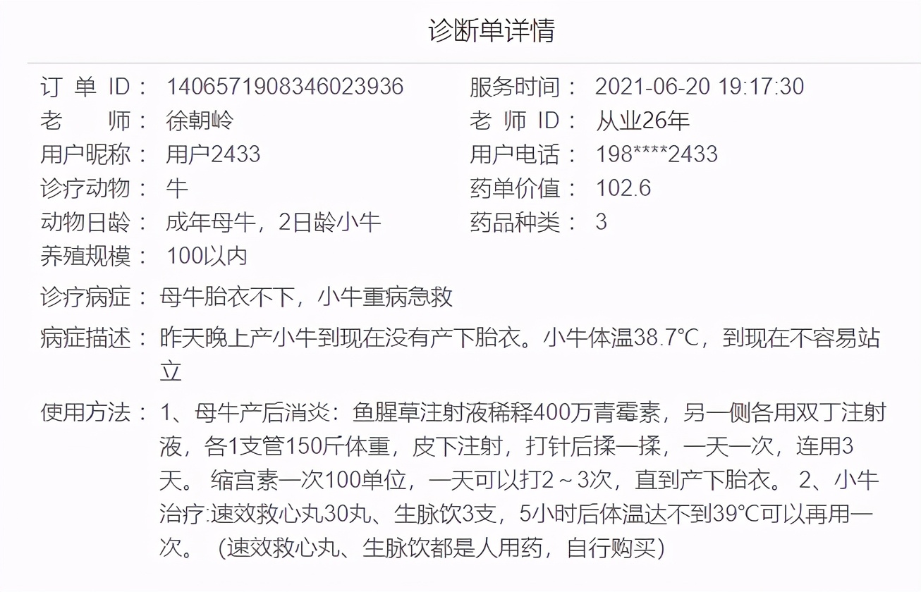 母牛产后胎衣一直不下咋回事？母牛胎衣不下怎么处理？