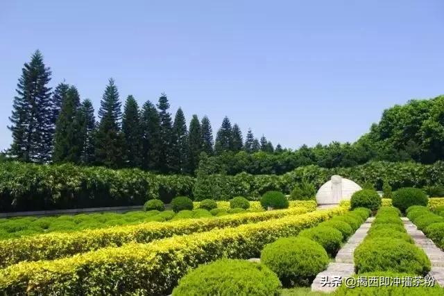 羊城通以后能在香港澳门使用啦