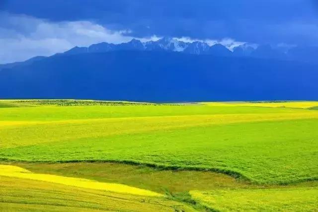 这就是昭苏,万物复苏的地方